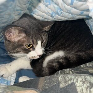 Meet your Posher, Kenia